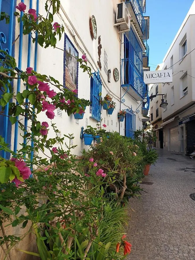 Gasthuis Micaela Charming Hostal Torremolinos